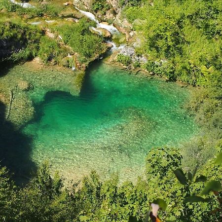 רקוביצה Paradise Lost Plitvice מראה חיצוני תמונה